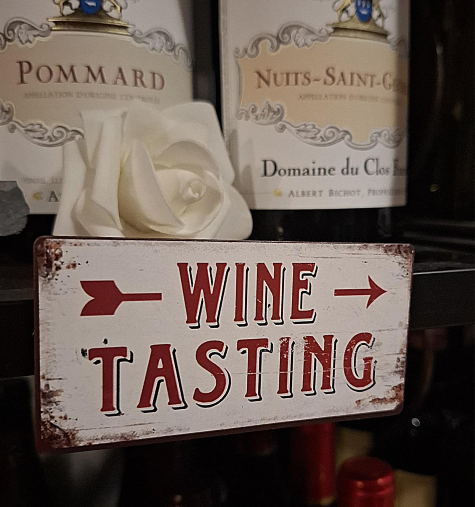 Vinařský kurz s degustací francouzských a italských vín vín pro pokročilé